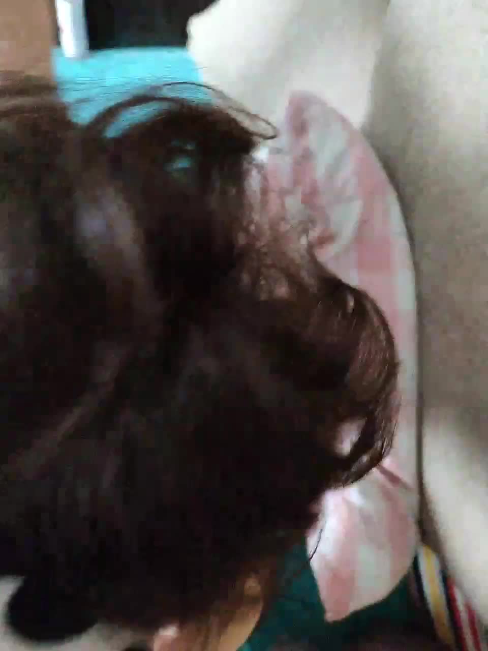 View or download file mat_olsen on 2023-02-24 from bongacams