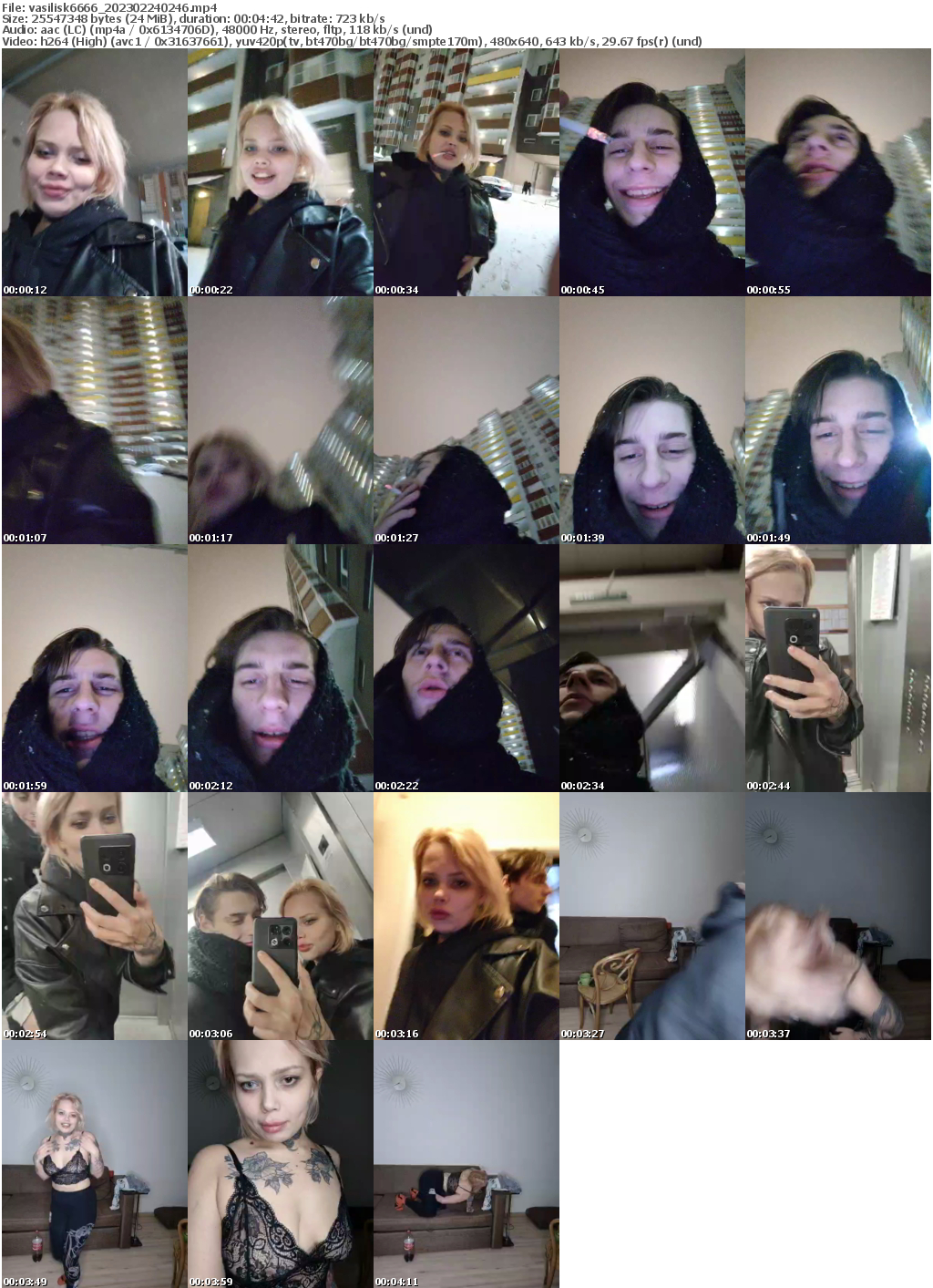 Preview thumb from vasilisk6666 on 2023-02-24 @ bongacams