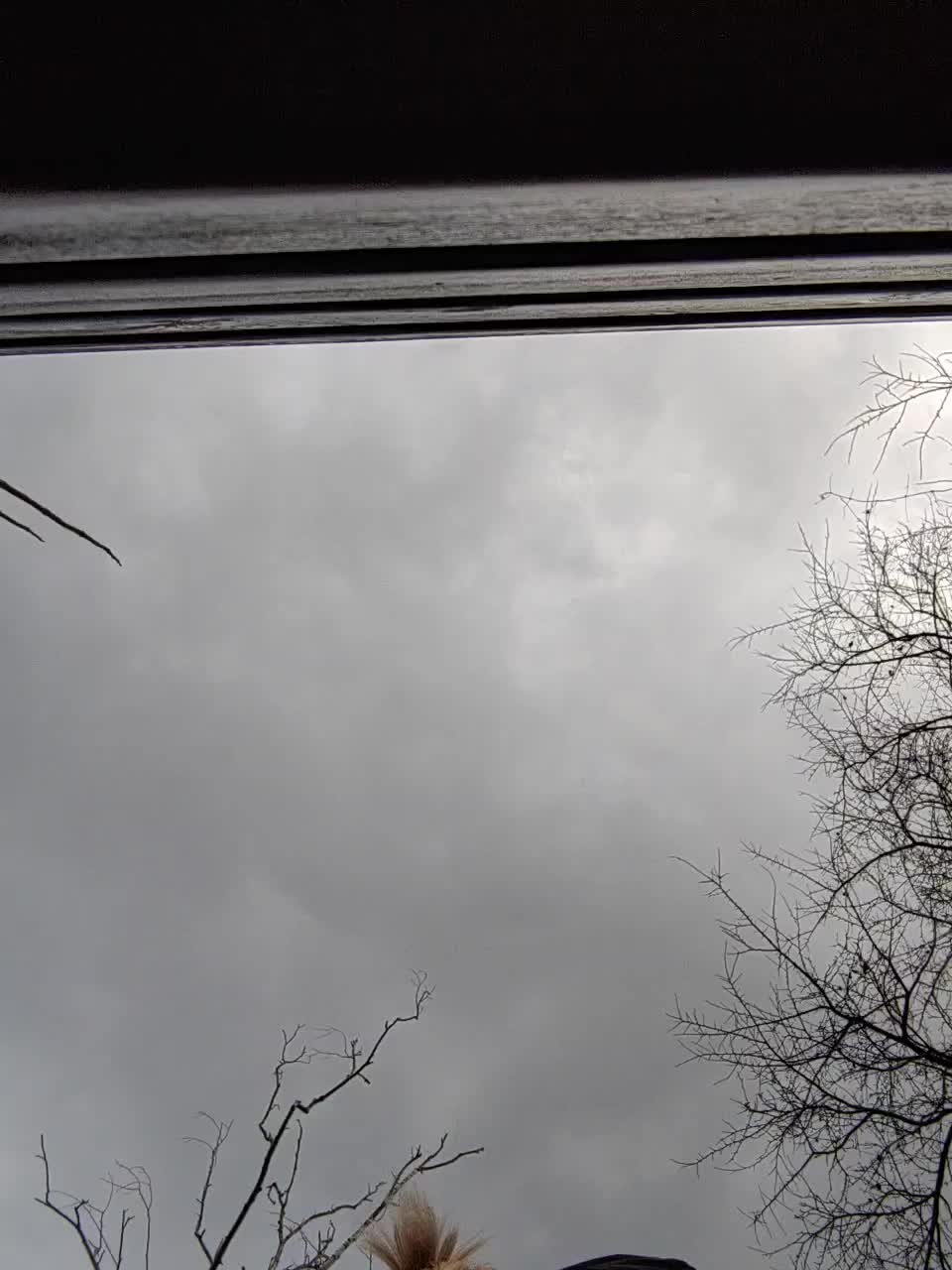 View or download file janna37 on 2023-02-25 from bongacams