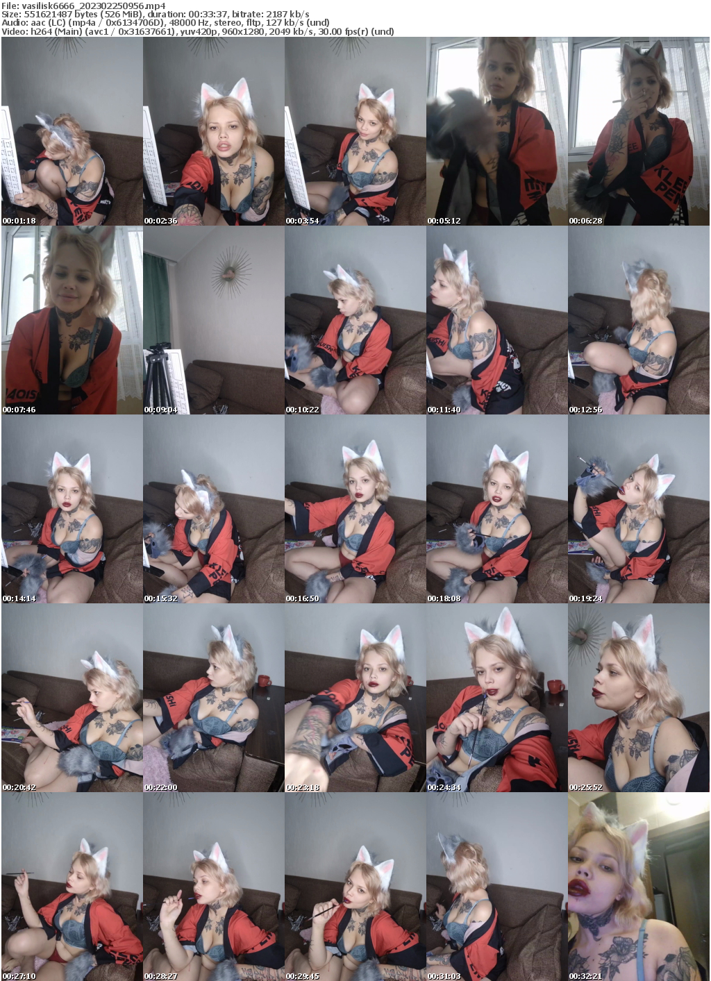 Preview thumb from vasilisk6666 on 2023-02-25 @ bongacams