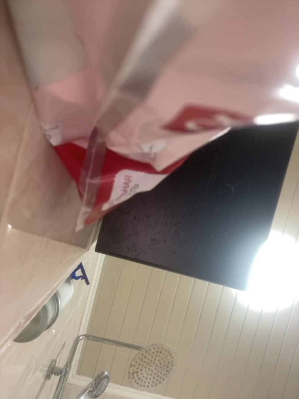 View or download file butterflysay on 2023-02-26 from bongacams