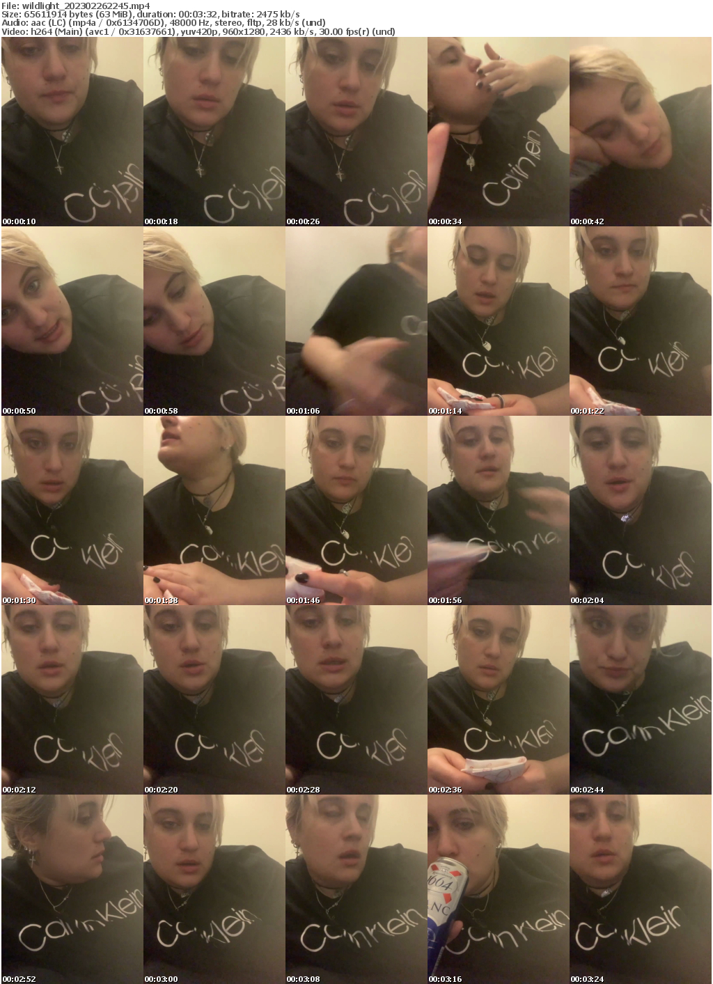 Preview thumb from wildlight on 2023-02-26 @ bongacams