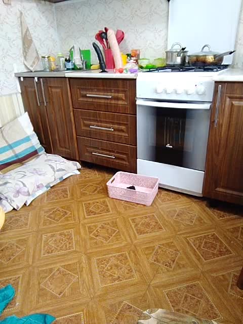 View or download file galinka76 on 2023-02-28 from bongacams