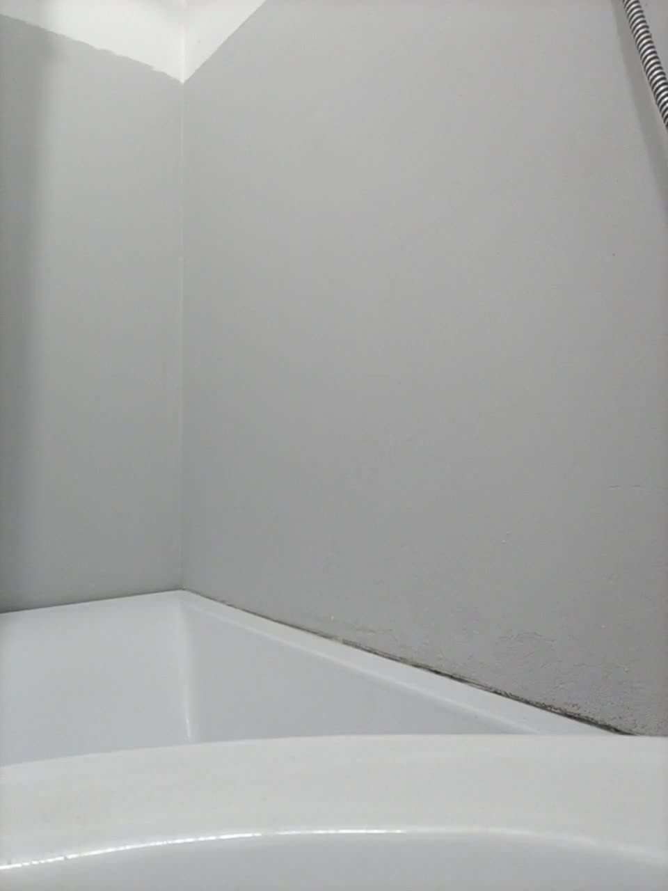 View or download file hollyahrose on 2023-02-28 from bongacams