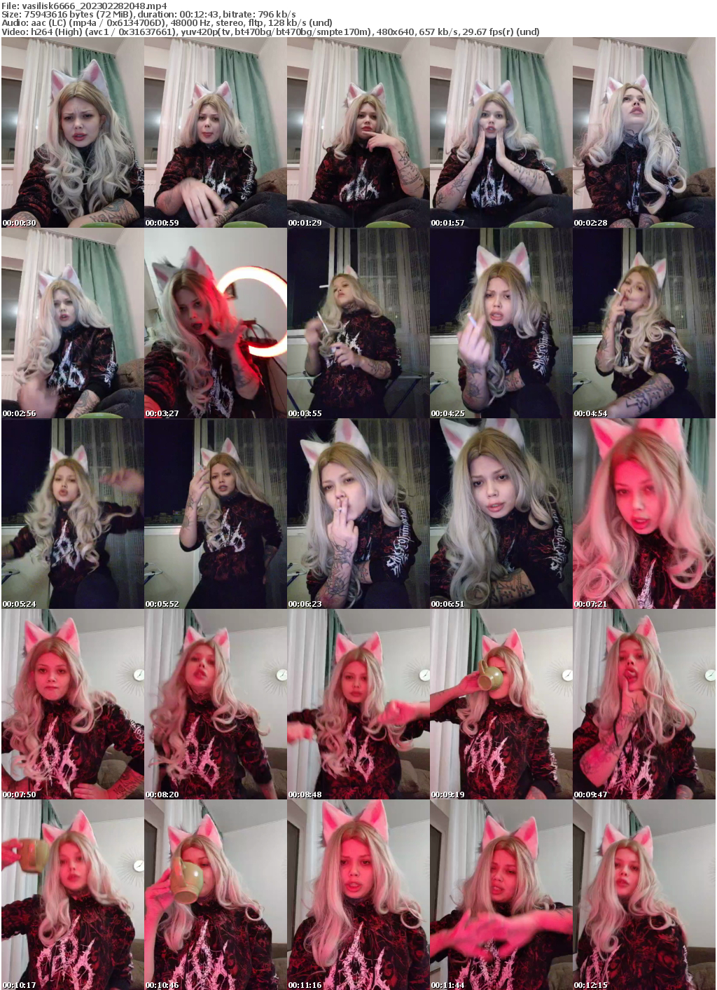 Preview thumb from vasilisk6666 on 2023-02-28 @ bongacams