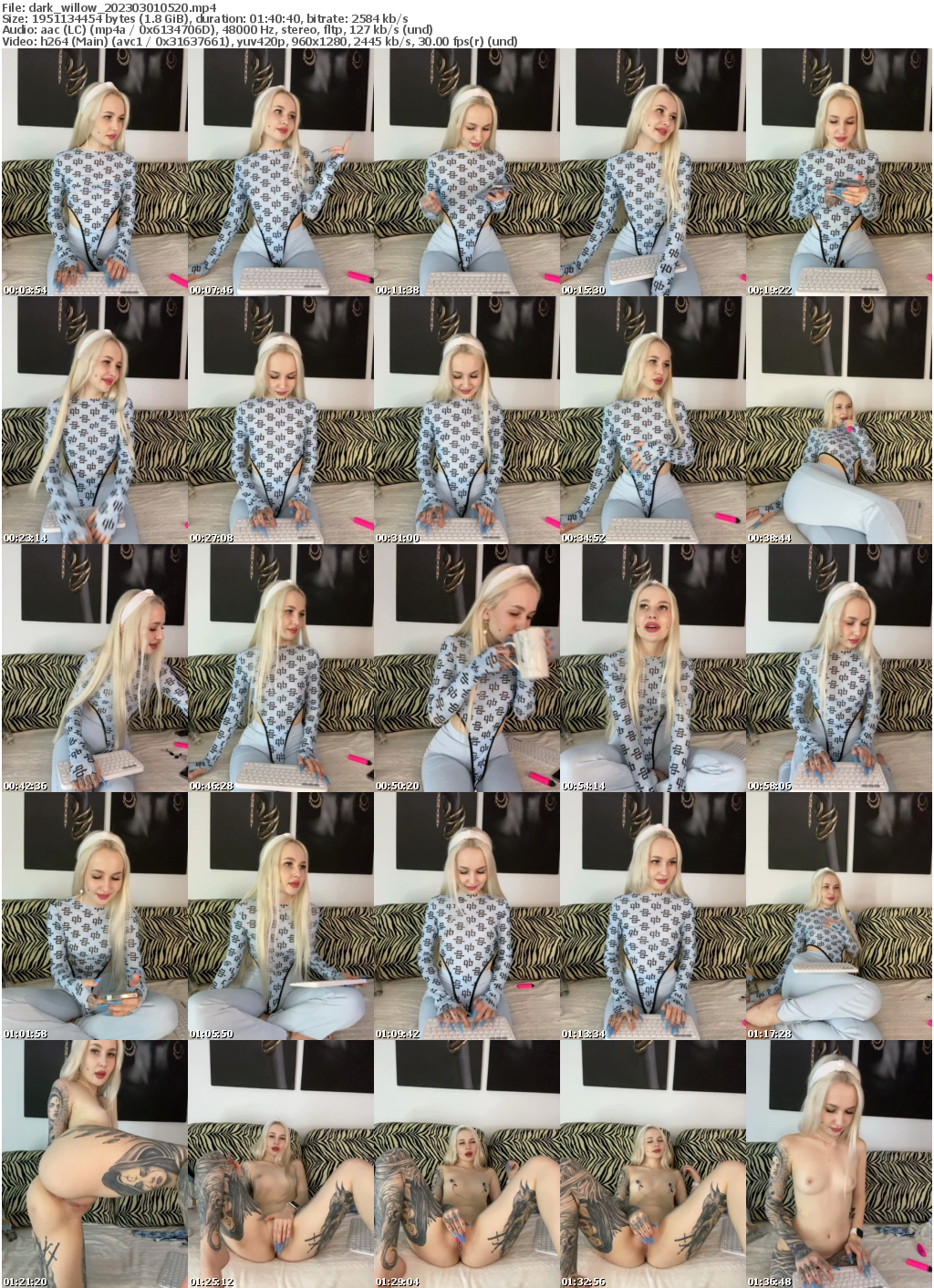 Preview thumb from dark_willow on 2023-03-01 @ bongacams