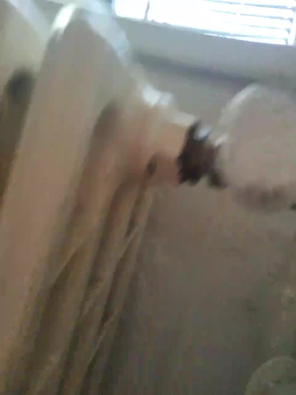 View or download file zero0903 on 2023-03-02 from bongacams