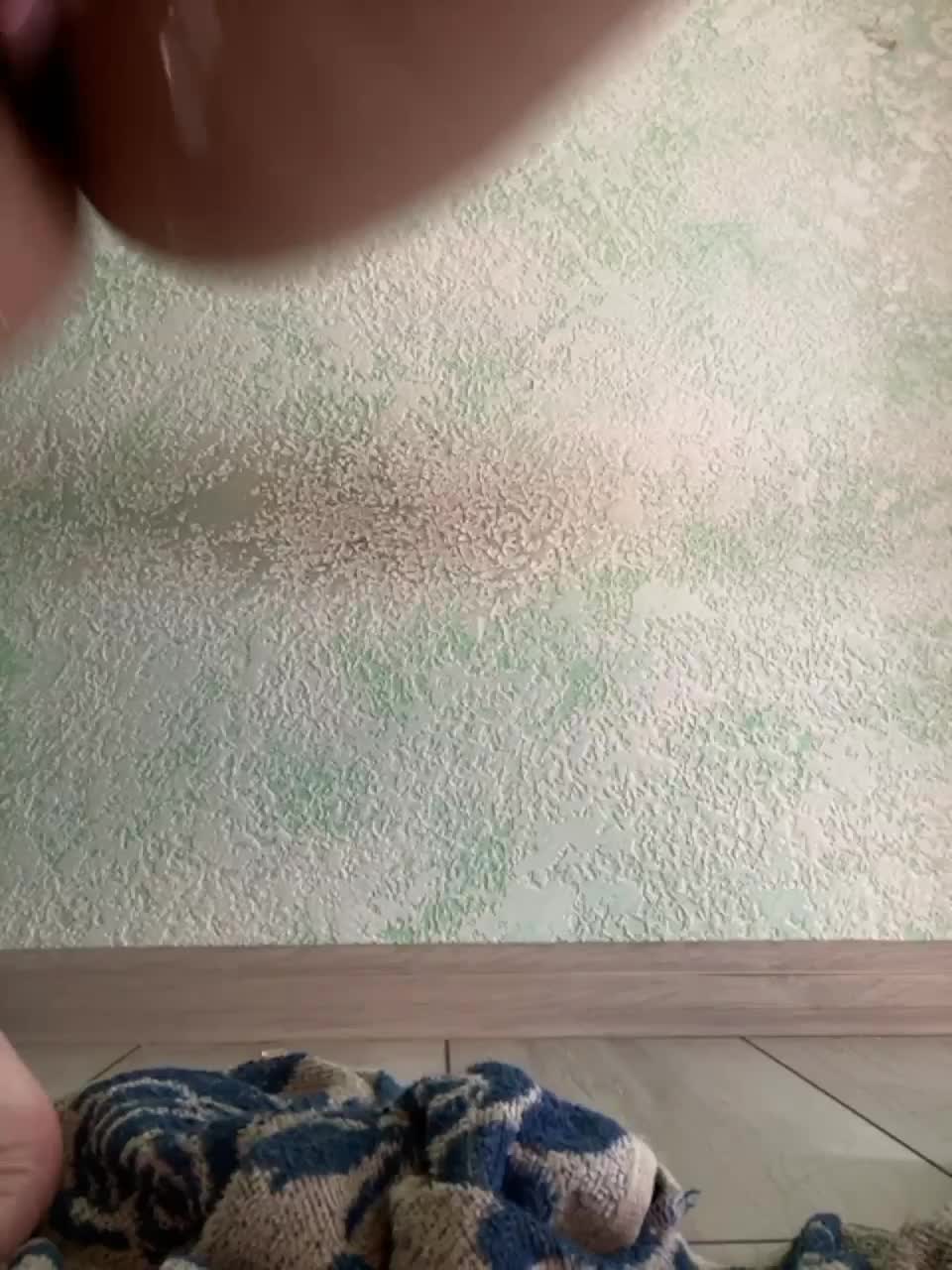 View or download file anitashine on 2023-03-05 from bongacams