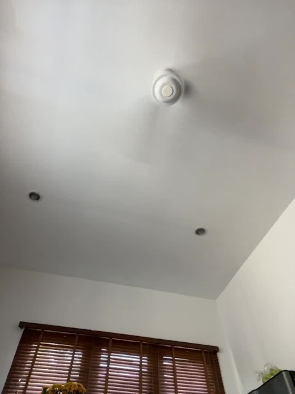 View or download file passioncherry on 2023-03-11 from bongacams