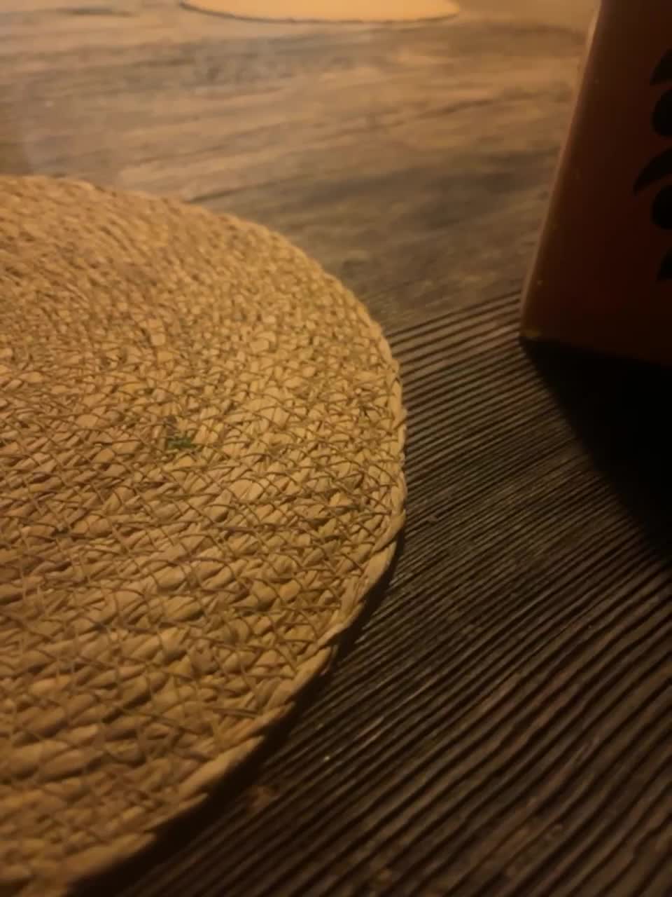 View or download file syka001 on 2023-03-12 from bongacams