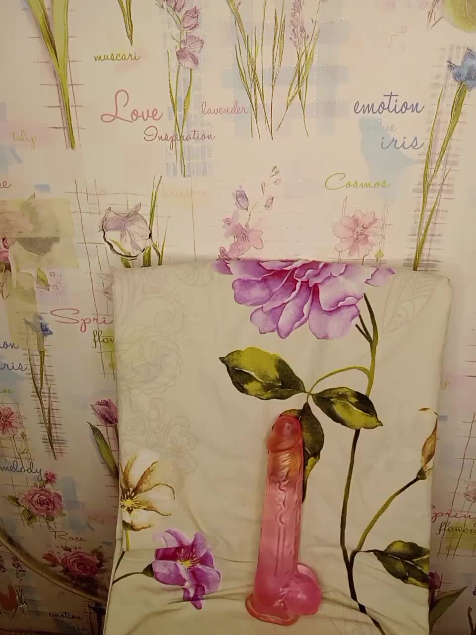 View or download file axelinia on 2023-03-13 from bongacams