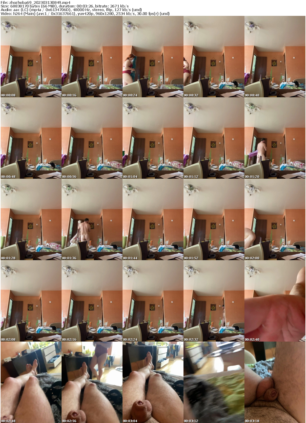 Preview thumb from zhozhoba69 on 2023-03-13 @ bongacams