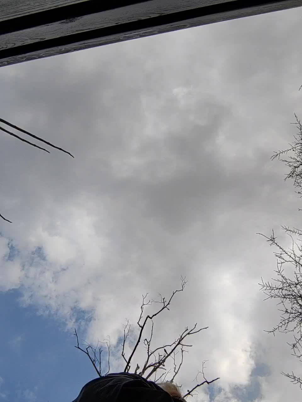 View or download file janna37 on 2023-03-16 from bongacams