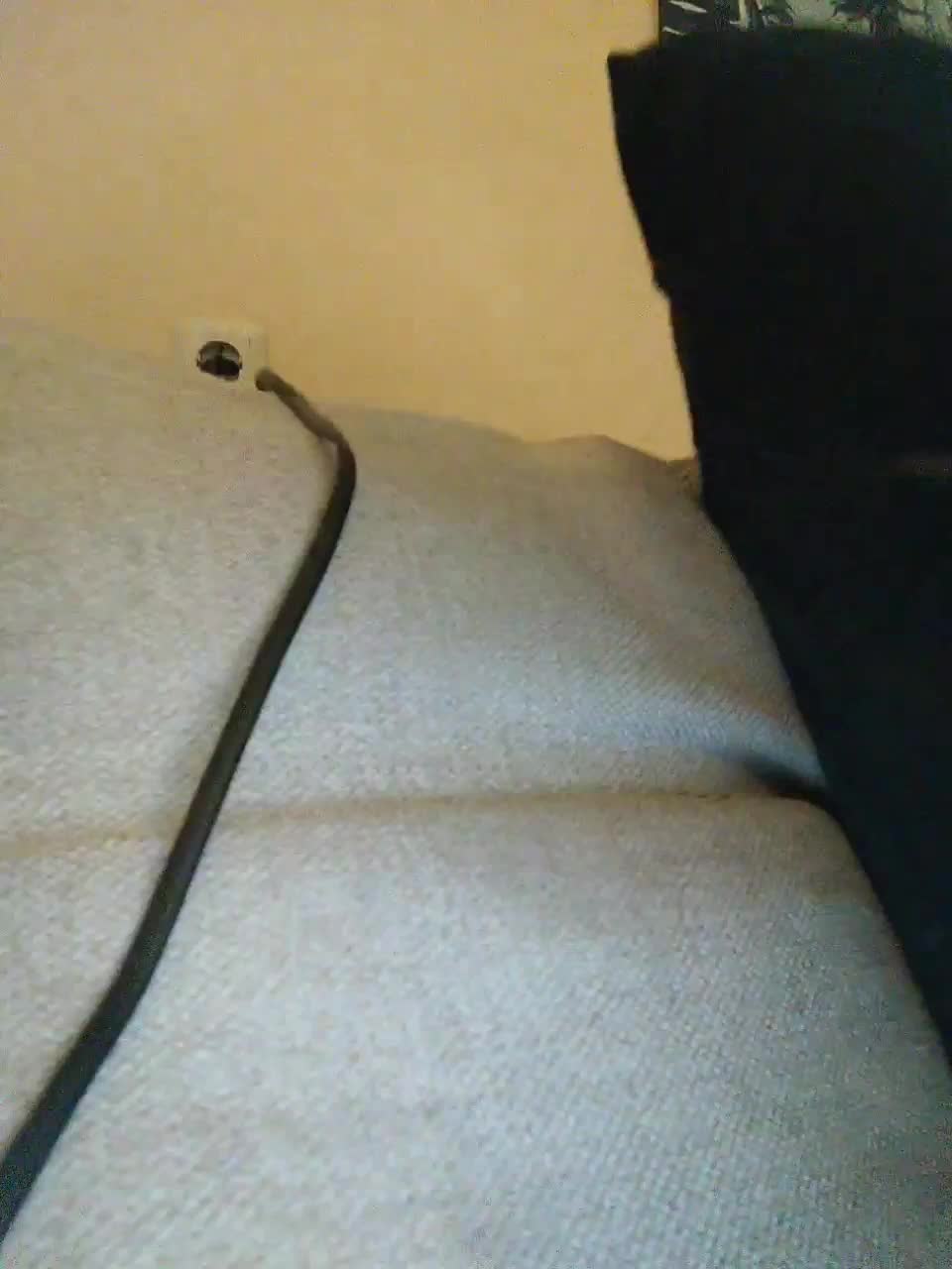 View or download file littledelora on 2023-03-16 from bongacams