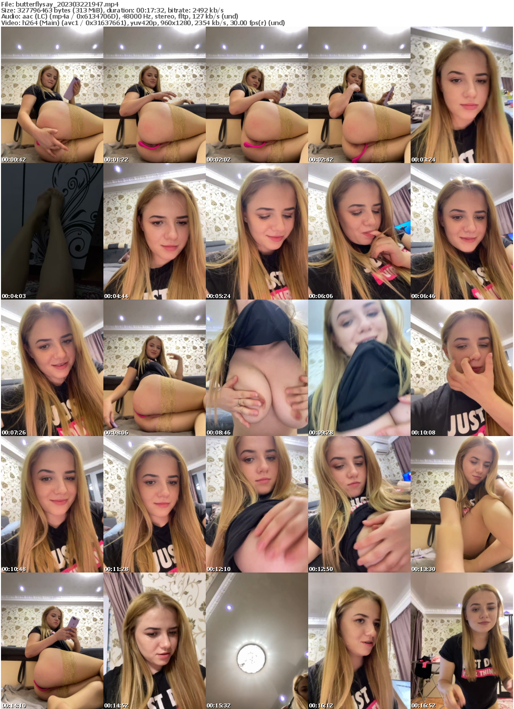 Preview thumb from butterflysay on 2023-03-22 @ bongacams