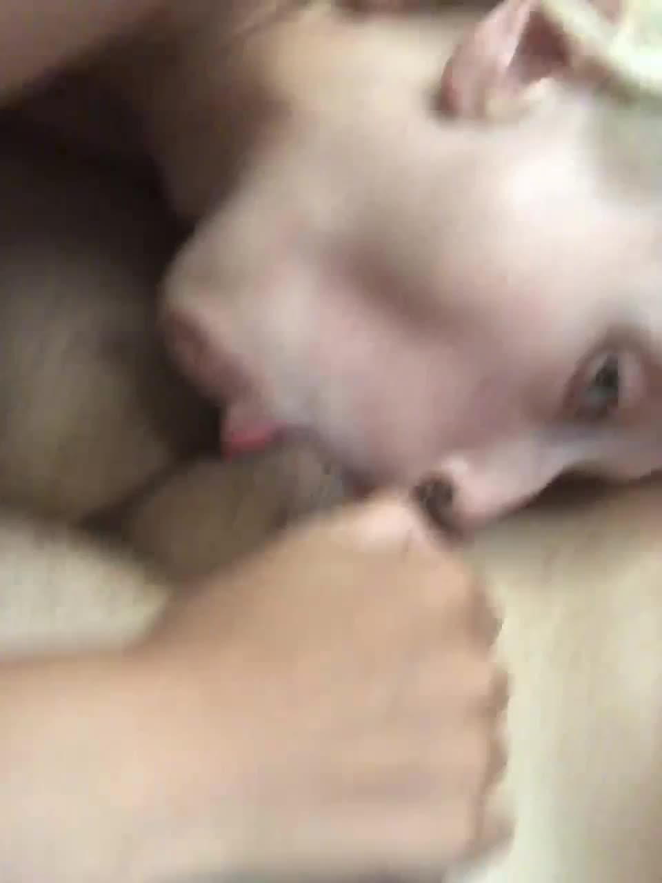 View or download file tommylidi on 2023-03-22 from bongacams