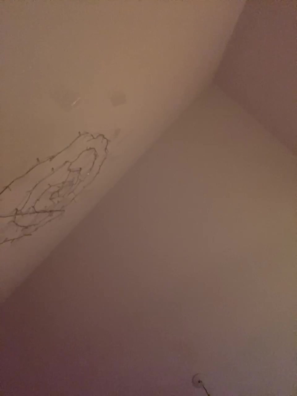 View or download file aloeloea on 2023-03-23 from bongacams