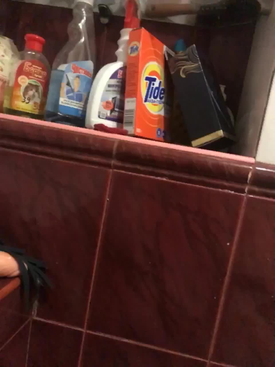 View or download file freyavsthor on 2023-03-24 from bongacams