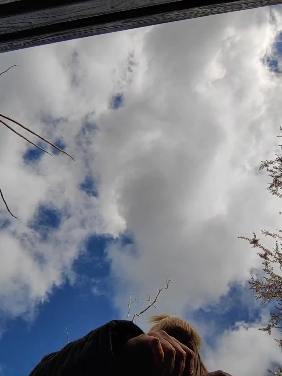 View or download file janna37 on 2023-03-26 from bongacams