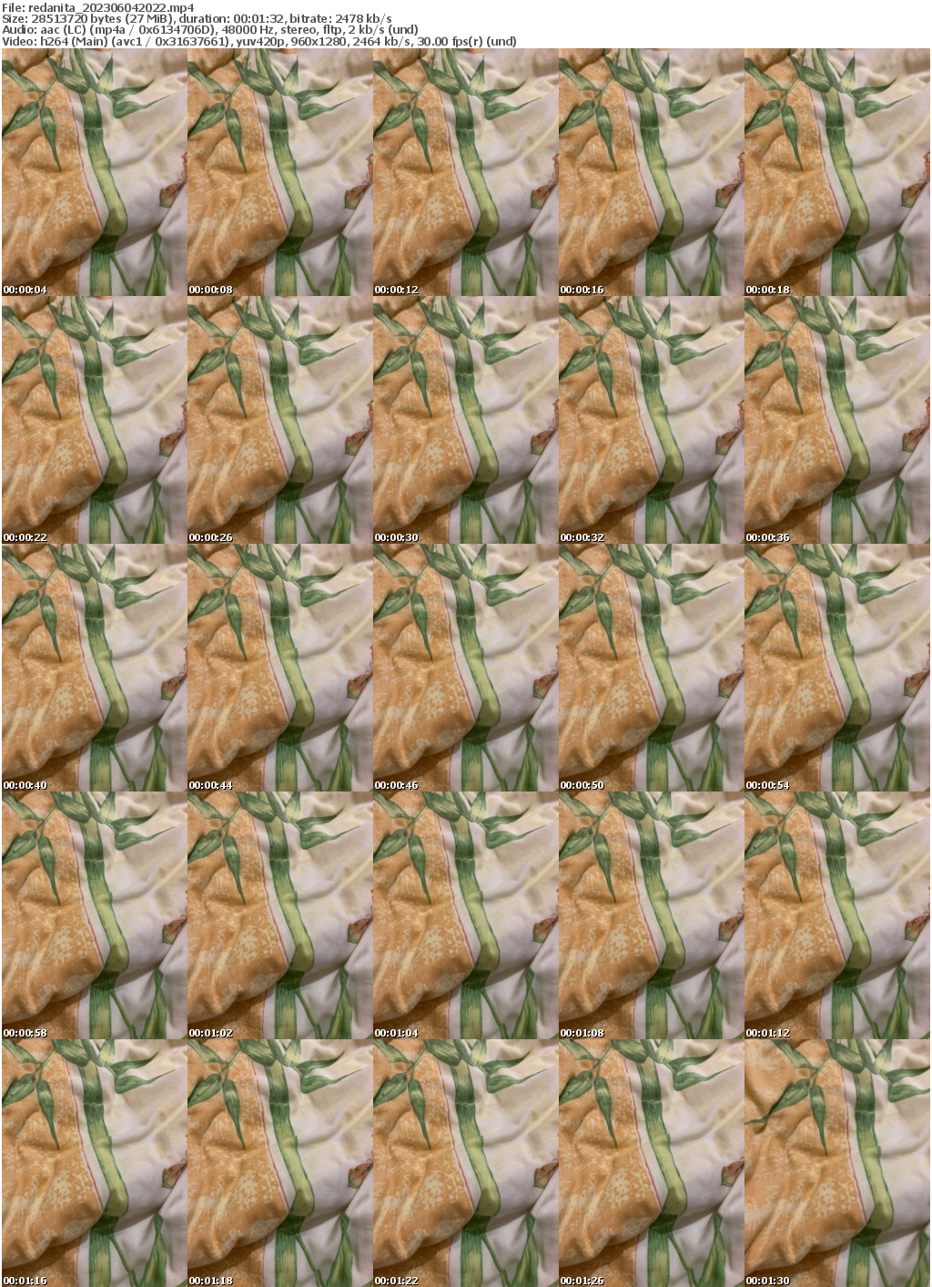 Preview thumb from redanita on 2023-06-04 @ bongacams