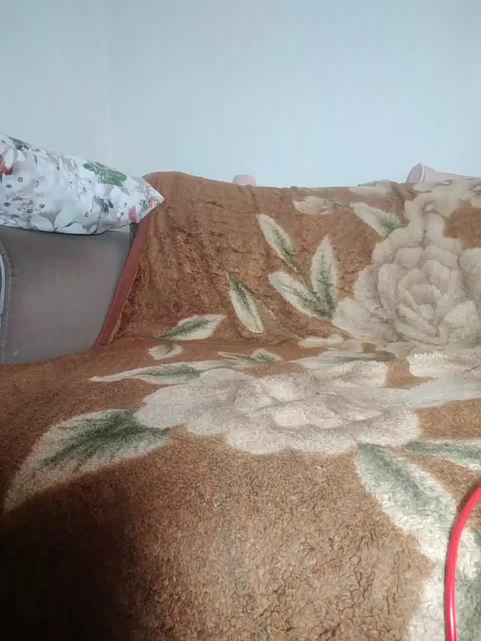 View or download file red_fox_olya on 2023-06-08 from bongacams