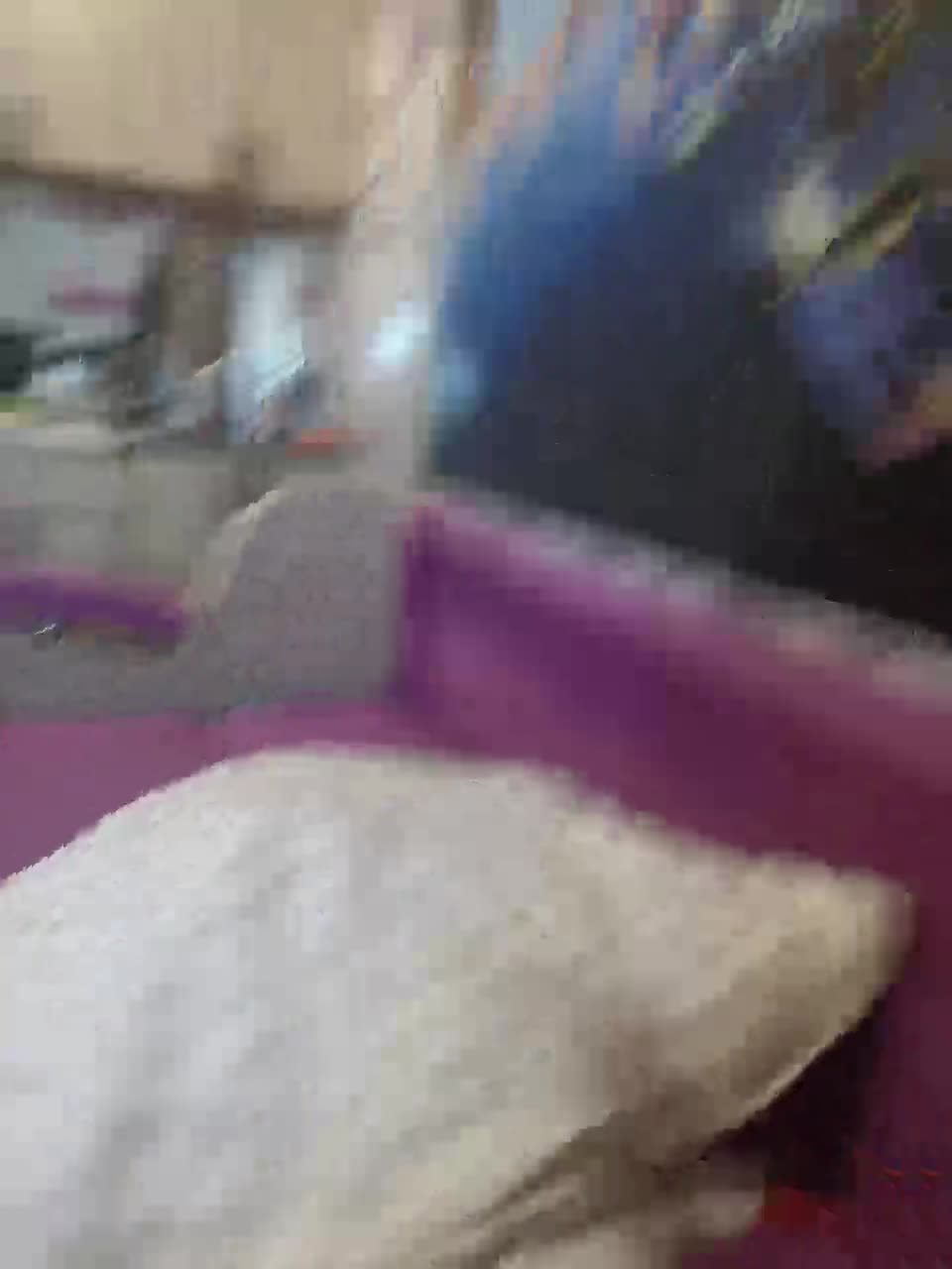 View or download file nikavan on 2023-06-11 from bongacams