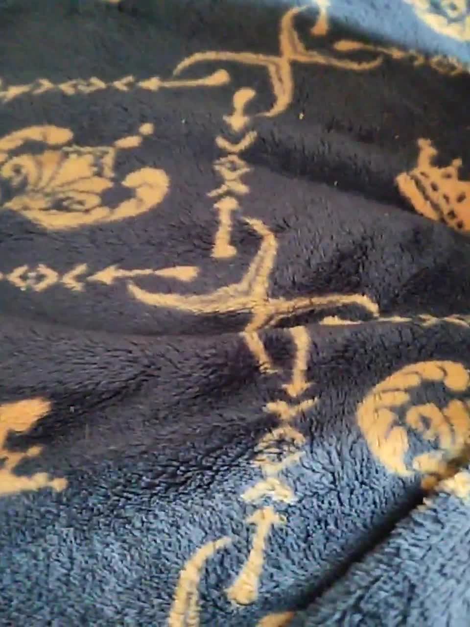 View or download file winx20 on 2023-06-11 from bongacams