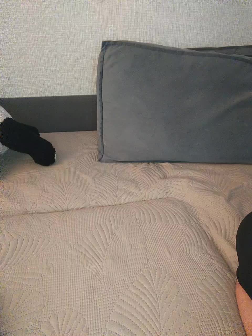 View or download file beautyforu on 2023-06-28 from bongacams