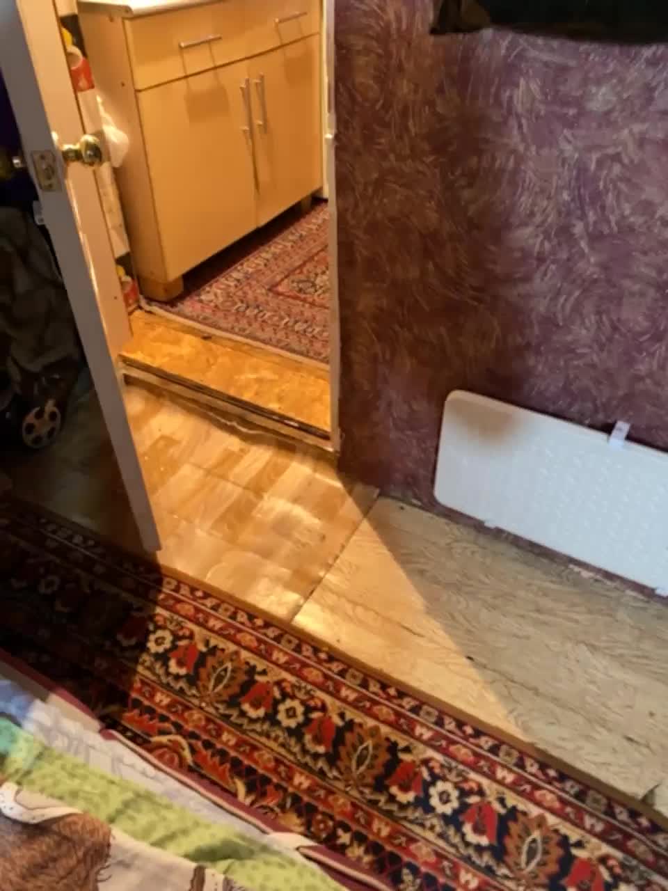 View or download file family22a on 2023-07-05 from bongacams