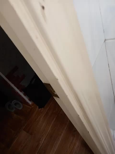 View or download file para52 on 2023-07-08 from bongacams