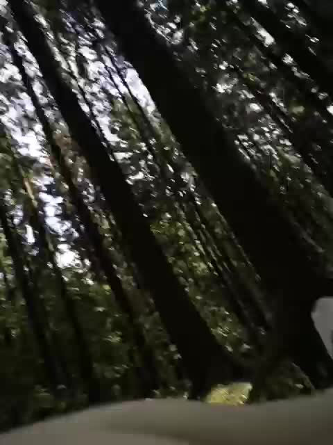 View or download file bdsm_games on 2023-07-16 from bongacams