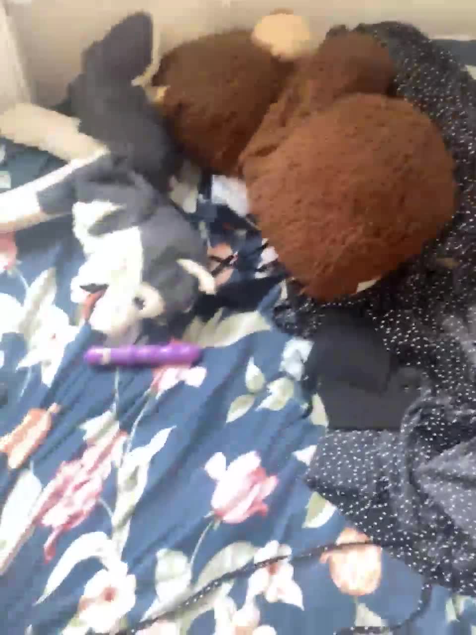 View or download file papochkamalysh on 2023-07-16 from bongacams