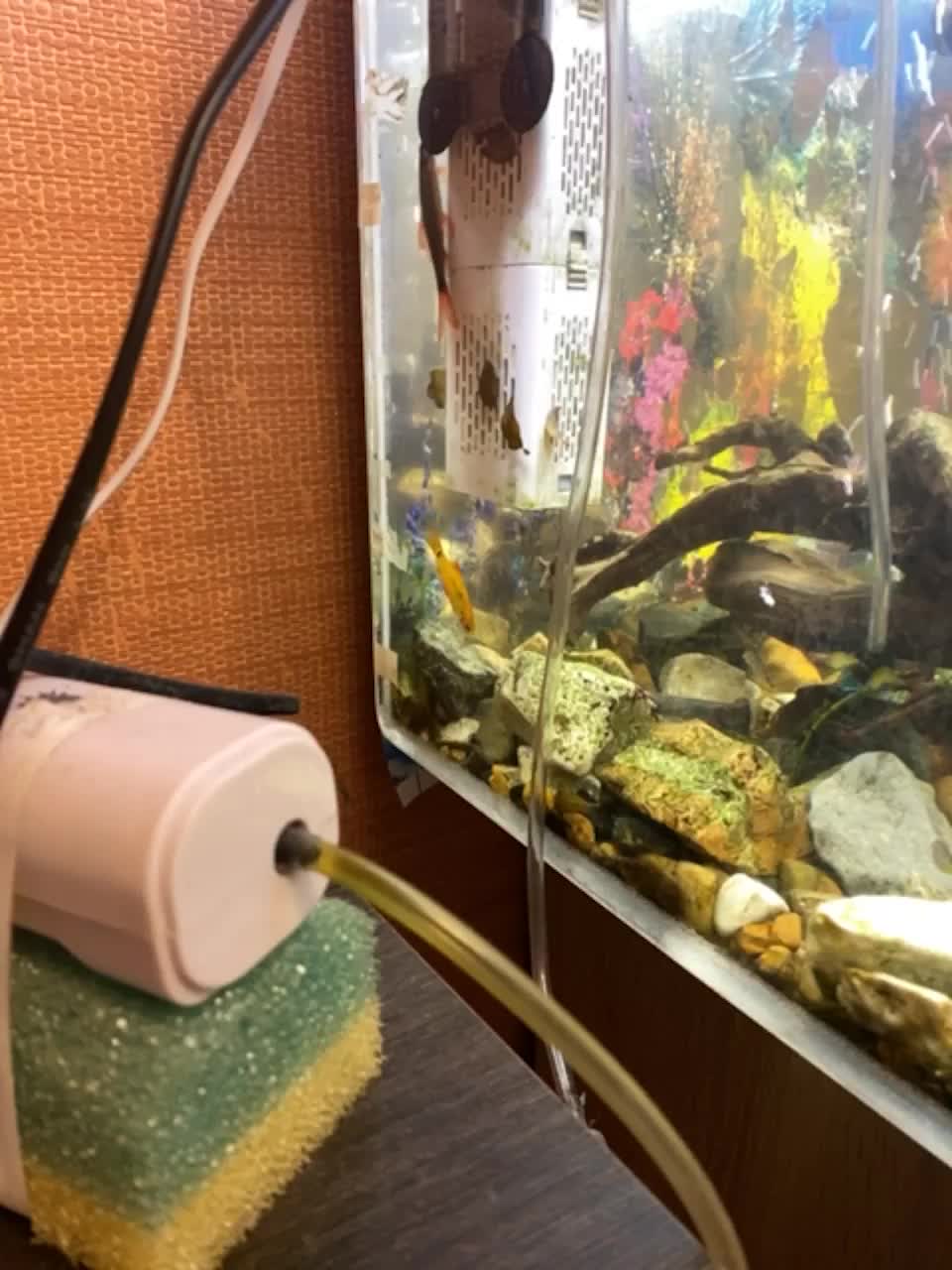 View or download file zhozhoba69 on 2023-07-23 from bongacams