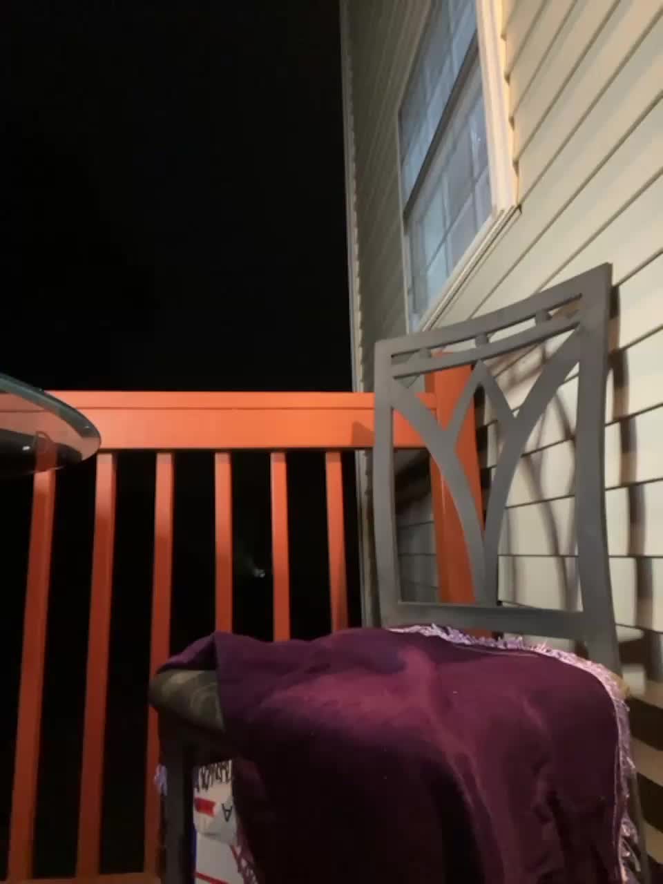 View or download file bigboootybk on 2023-07-29 from bongacams