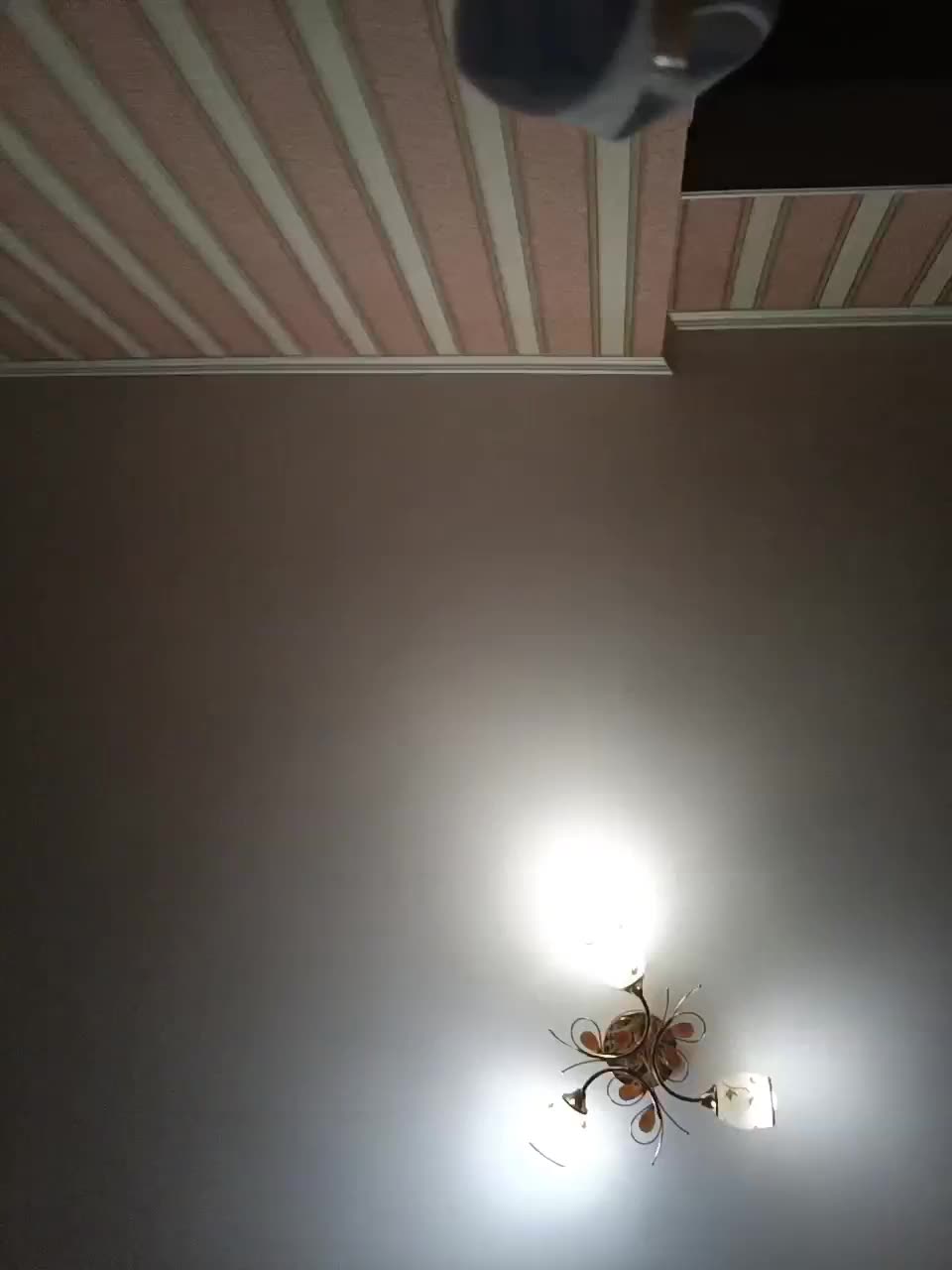 View or download file denka69 on 2023-07-31 from bongacams