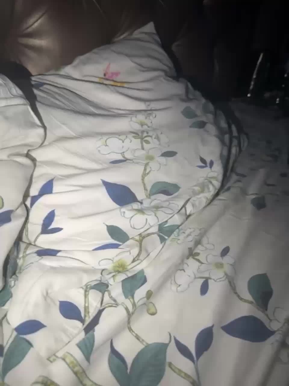 View or download file shaximat001 on 2023-07-31 from bongacams