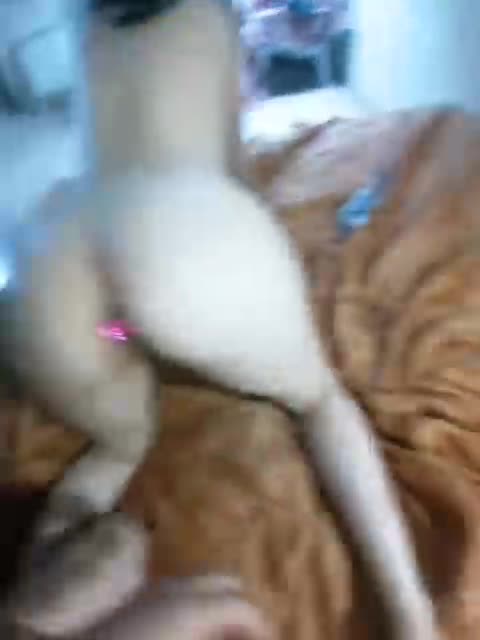 View or download file mekazylaa on 2023-08-03 from bongacams