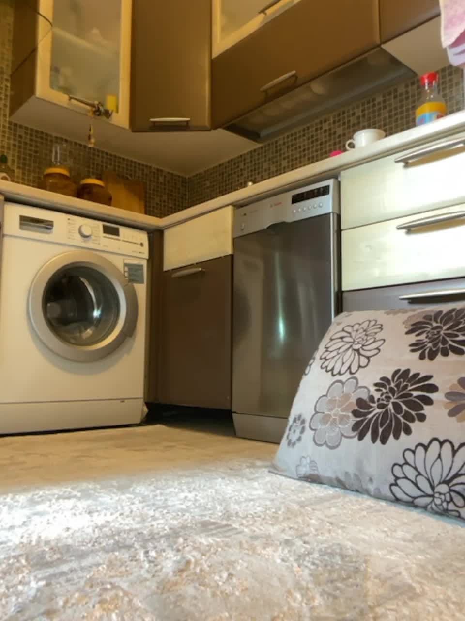 View or download file lovecatsuit on 2023-08-06 from bongacams