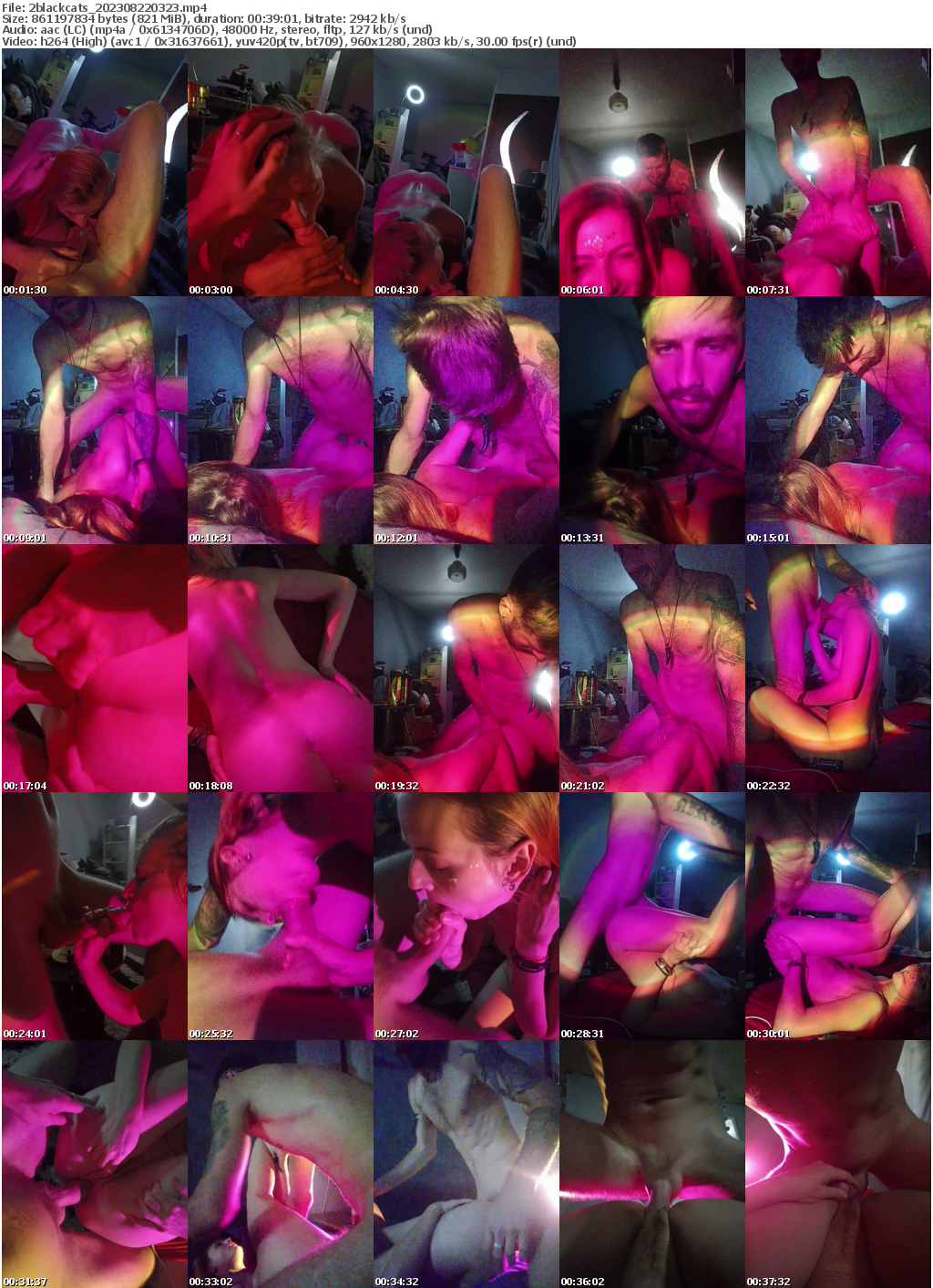 Preview thumb from 2blackcats on 2023-08-22 @ bongacams