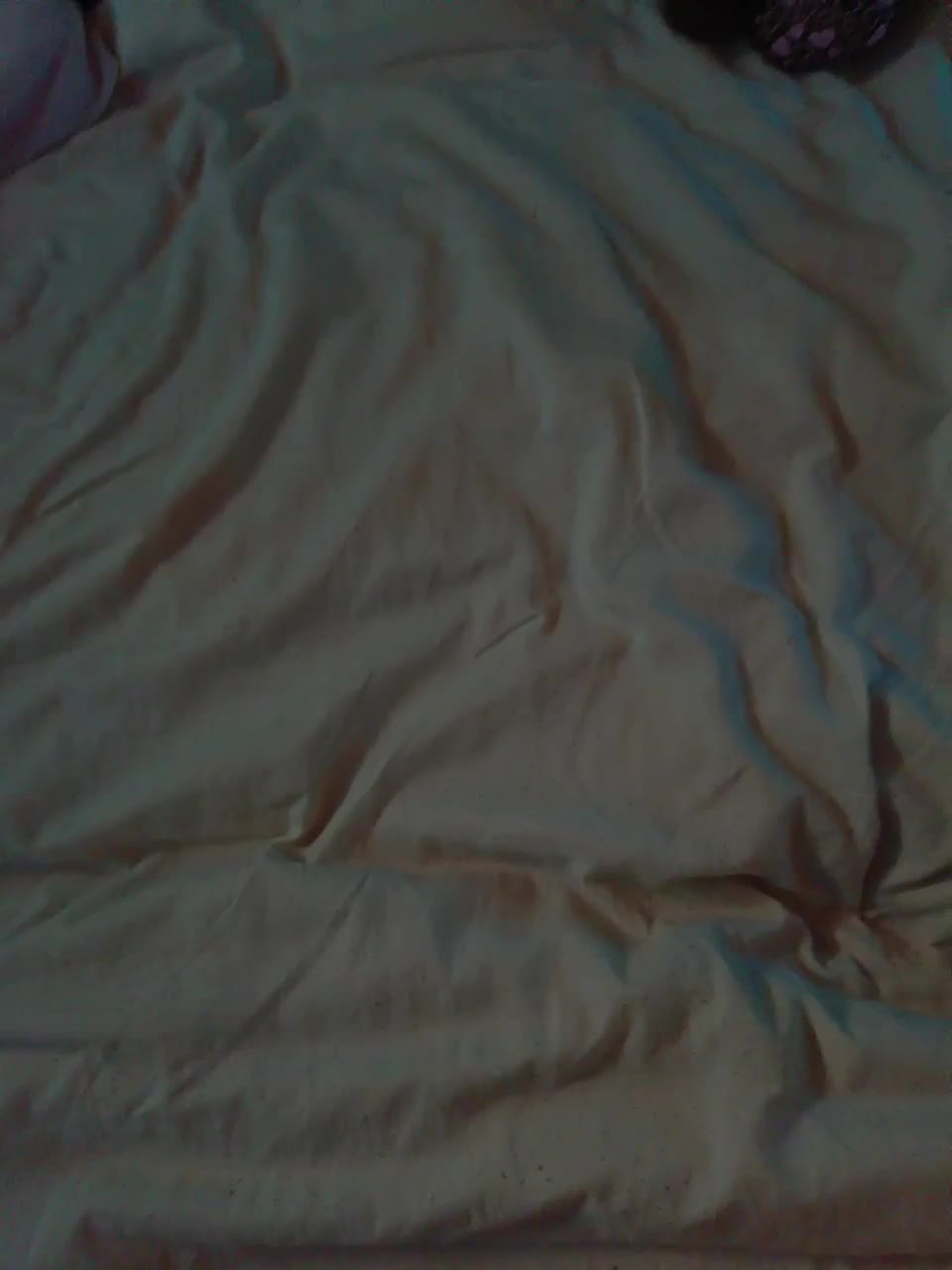 View or download file nafaniakuzma on 2023-08-23 from bongacams