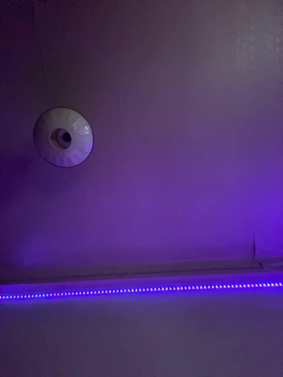 View or download file blue1curacao on 2023-08-24 from bongacams