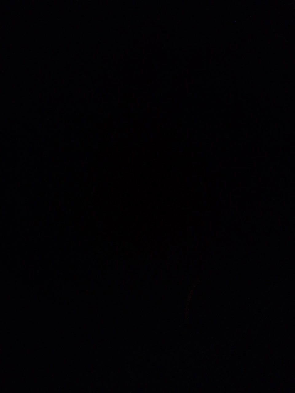 View or download file 7crazypanda7 on 2023-08-28 from bongacams