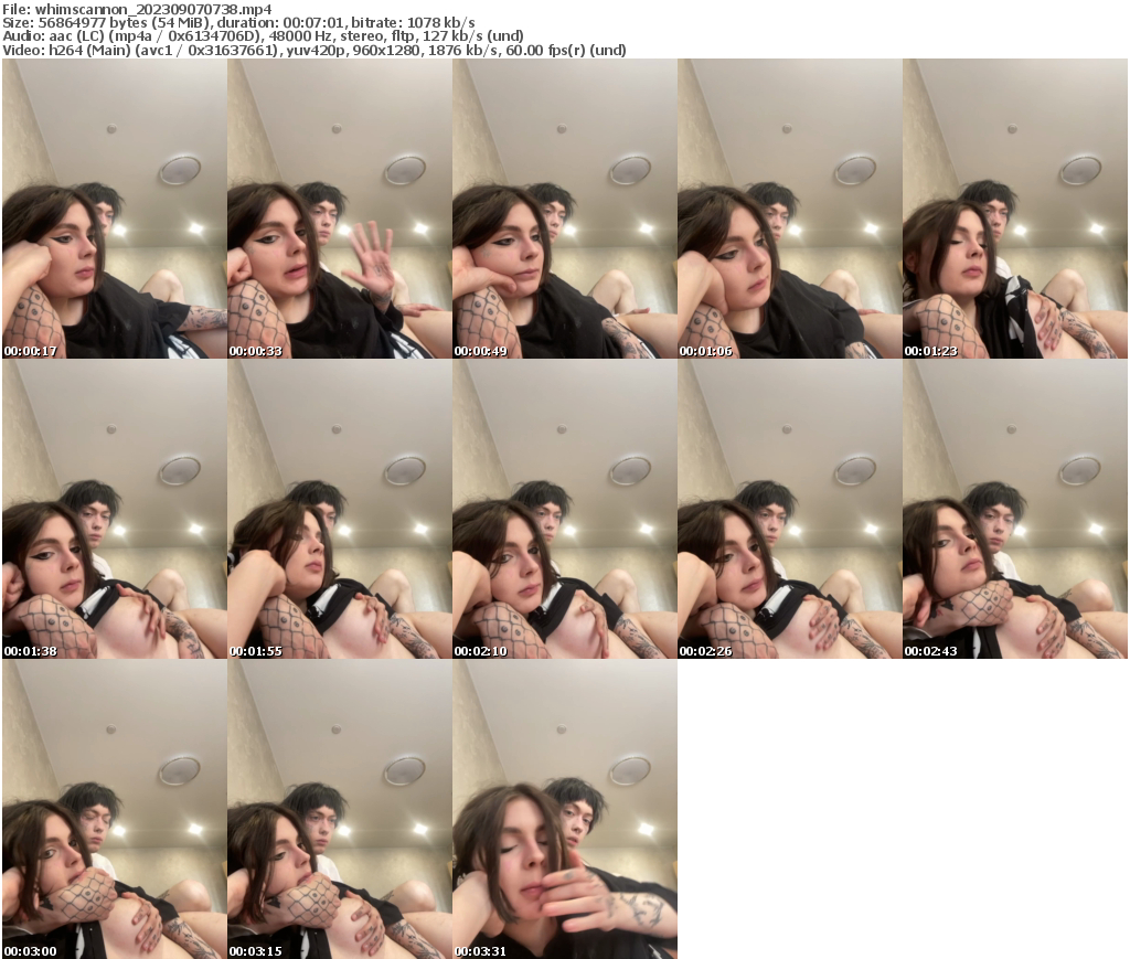 Preview thumb from whimscannon on 2023-09-07 @ bongacams