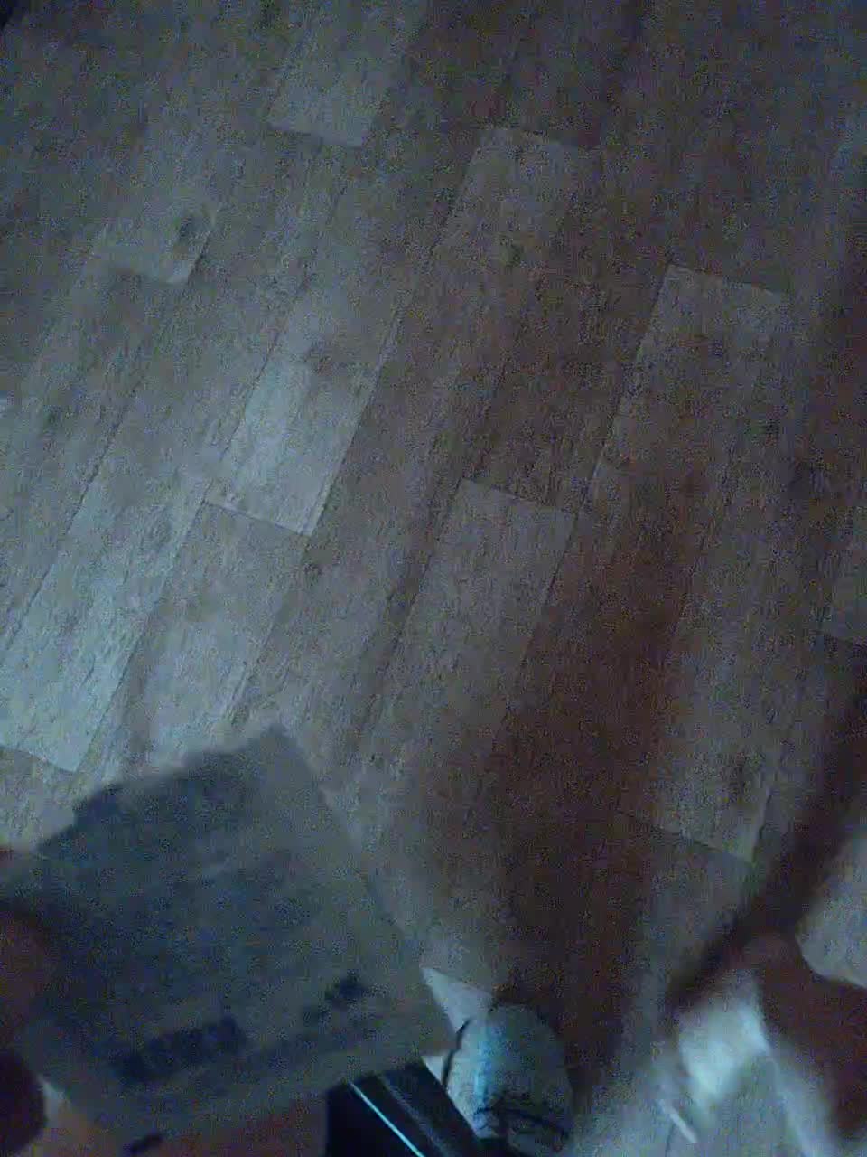 View or download file awesome261 on 2023-09-19 from bongacams