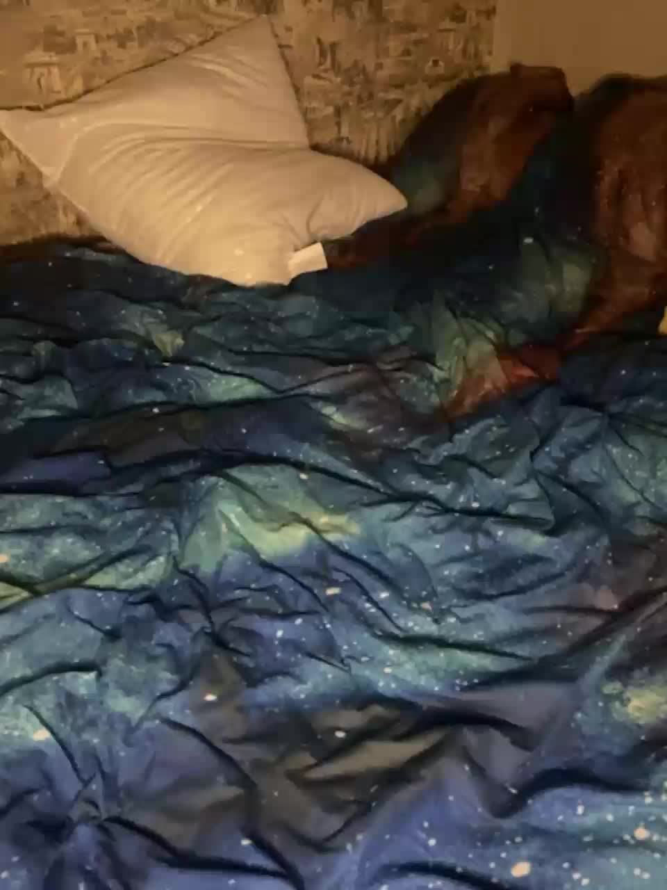 View or download file milisasex on 2023-09-19 from bongacams