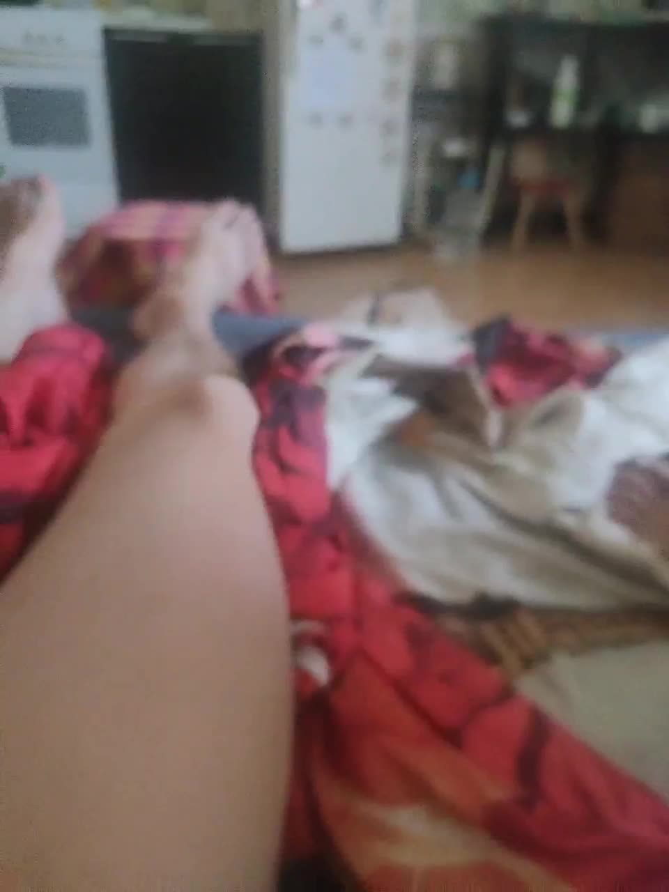 View or download file polvas on 2023-09-19 from bongacams