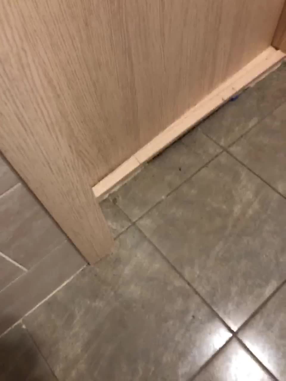 View or download file marishka521 on 2023-09-26 from bongacams