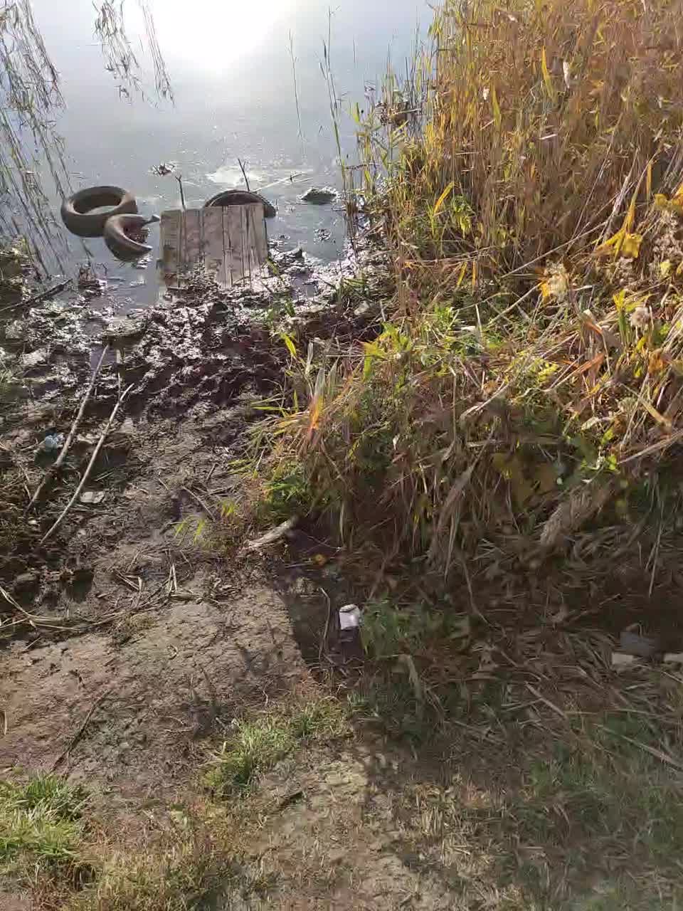 View or download file ds1002 on 2023-10-03 from bongacams