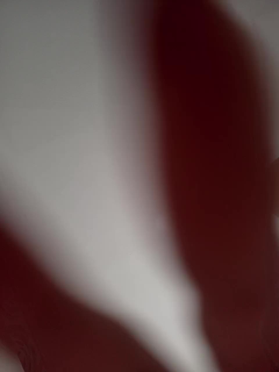 View or download file asaravipboobs on 2023-10-04 from bongacams