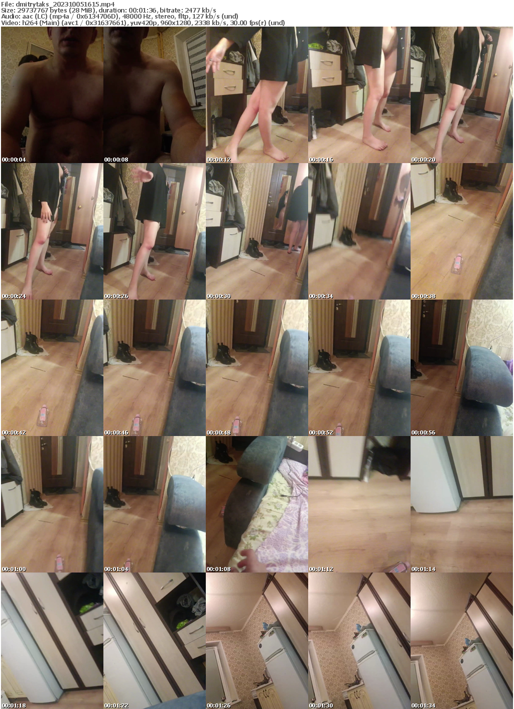 Preview thumb from dmitrytaks on 2023-10-05 @ bongacams